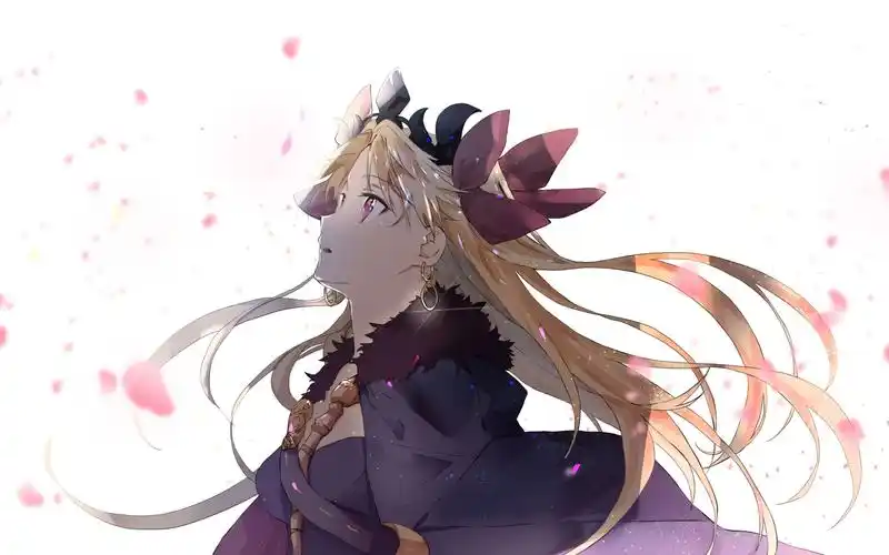 『fgo』艾蕾 动态桌面 【君臨天下lee自制】