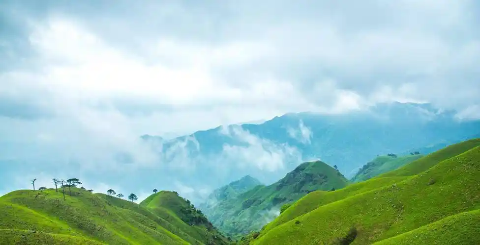 原创武功山金顶草甸或将易主投资几千万开发萍乡有人想摘桃子