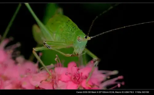 原图欣赏-太平洋摄影部落
