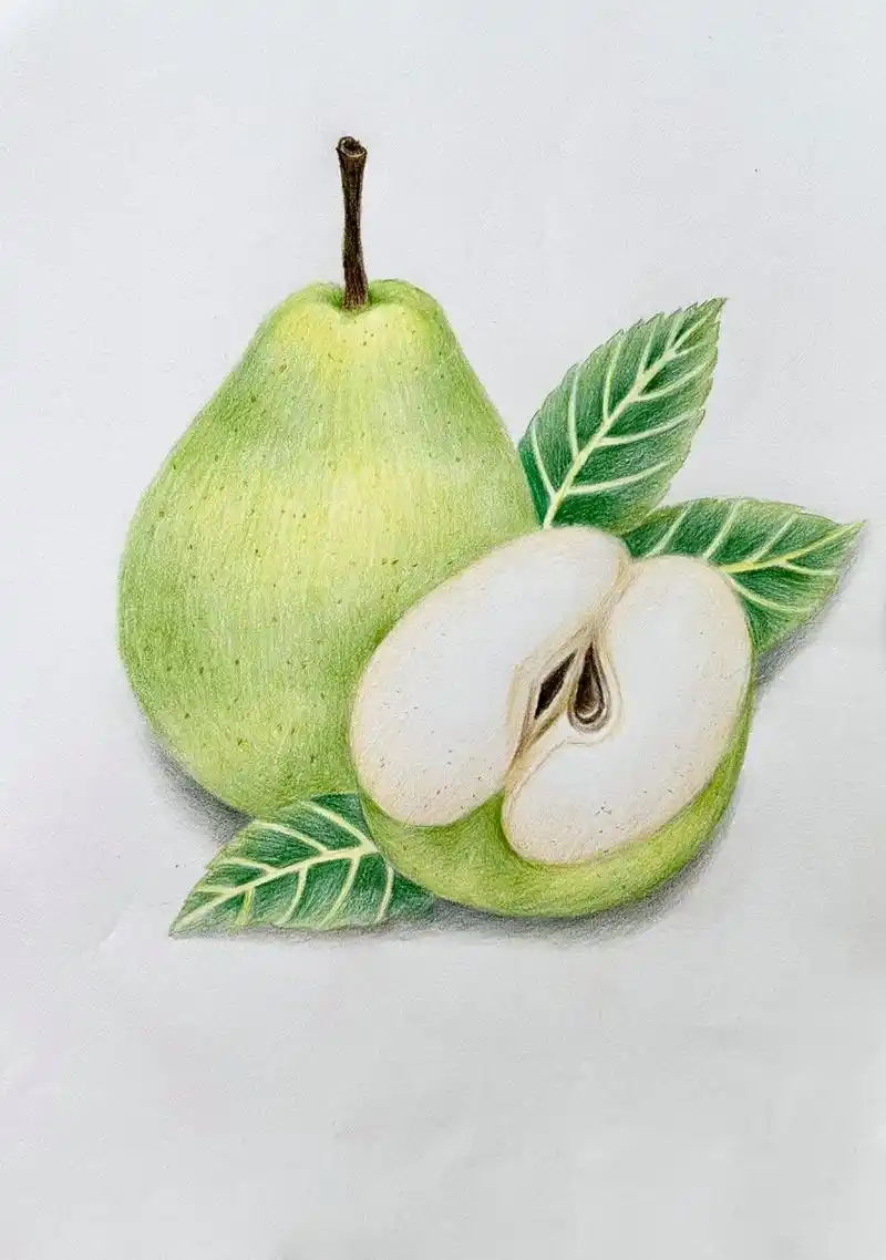 彩铅# #彩铅绘画# #水果# #手绘# #彩铅练习# #彩铅入门# #彩铅水果