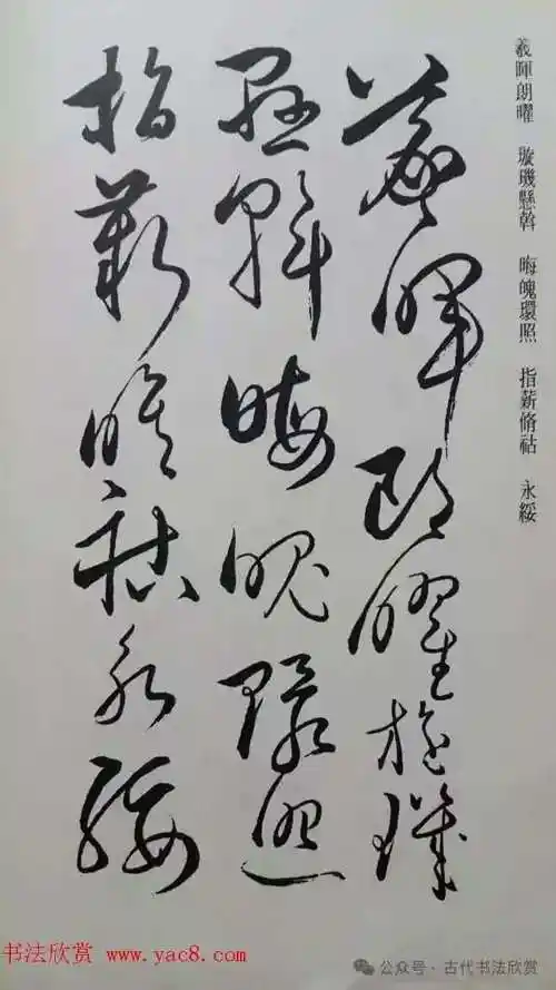 罕见的怀素草书《千字文》净云枝藏帖