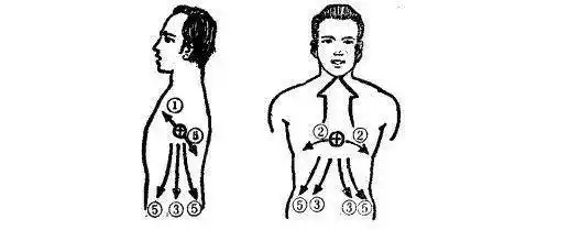 在唱歌发声时,人体对气息的感觉部位有胸部,肋部,腰部,腹部和后锯肌
