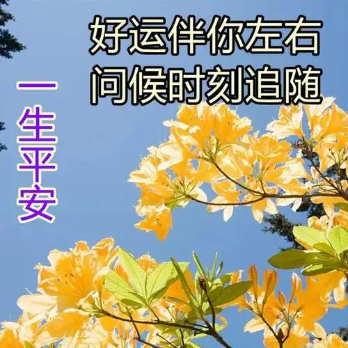 早上好温馨问候语大全 大家早上好祝福语加图片 朋友早晨问候语