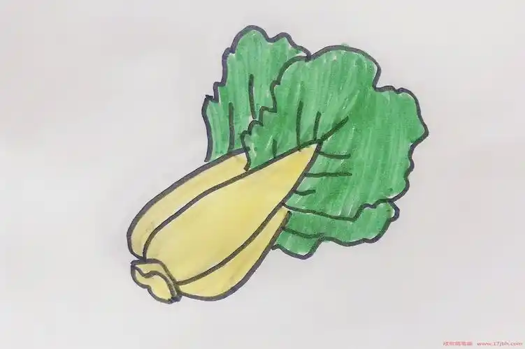 画青菜的简笔画 青菜怎么画图片-蔬菜简笔画-欣欣简笔画