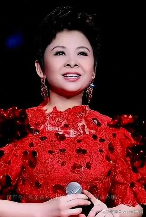 董文华当年可是家喻户晓的音乐巨星,可命运的轮回总是让人摸不着头脑.