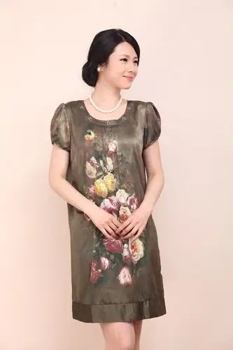 2013中老年连衣裙中年女装加大码真丝桑蚕丝半身裙夏装高档妈妈裙图片