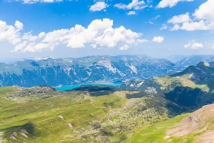 全景,风景,布里恩茨,湖,阿尔卑斯山,上面,瑞士