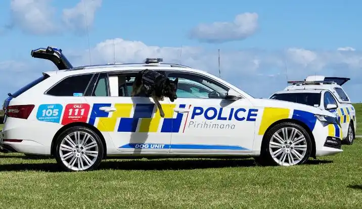 新西兰警车豪华升级!做只警犬太幸福了._yanko_工作_温度