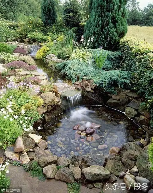 自己动手在院子里建造一个生态池塘-完整步骤分享