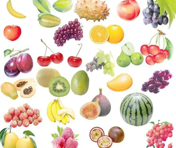 水果大全 各种水果图片