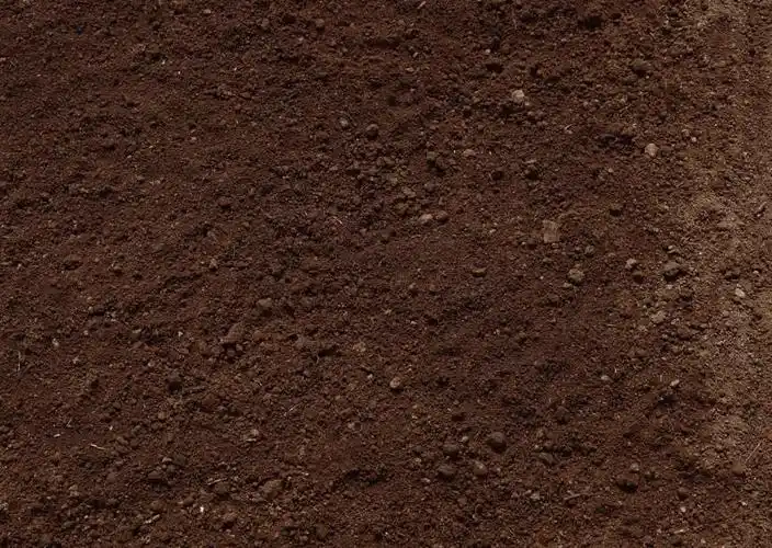 土壤表面截面剖面