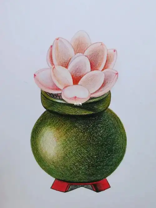 初学者自学 彩铅画多肉 绘画步骤图