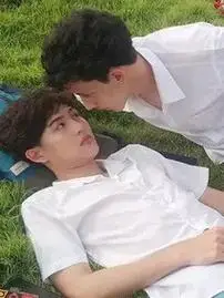 《爱情攻式》免费在线观看-电视剧-星辰电影