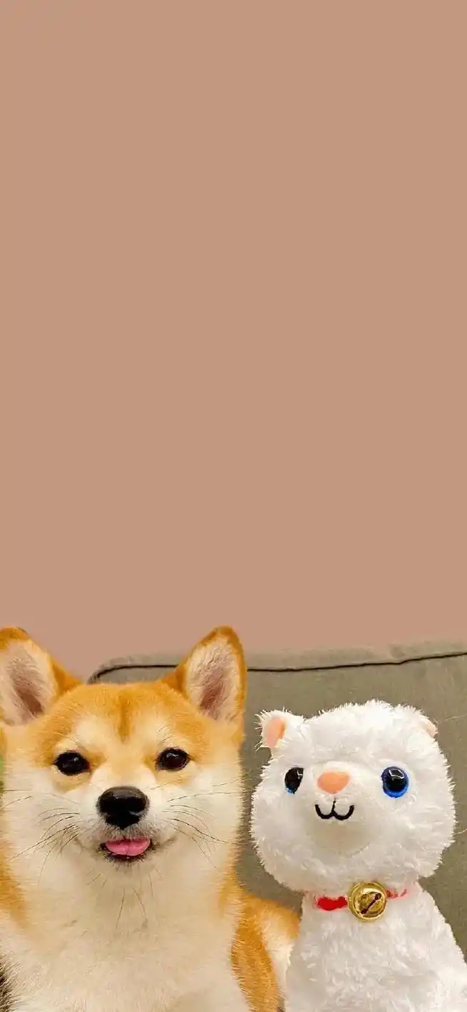 自留超可爱壁纸啊壁纸