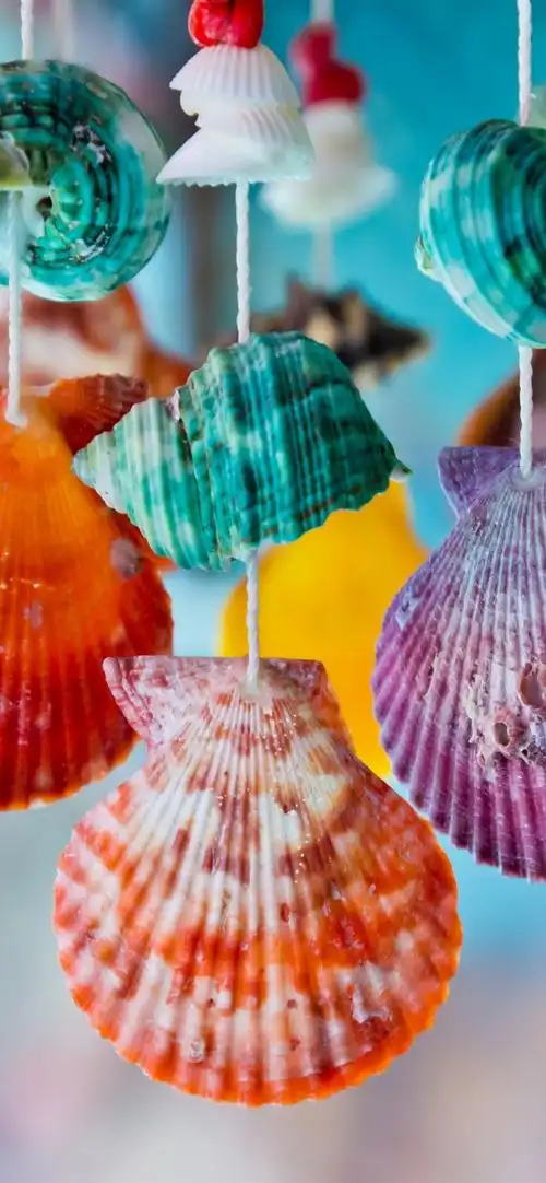 五颜六色的贝壳,装饰 iphone 壁纸