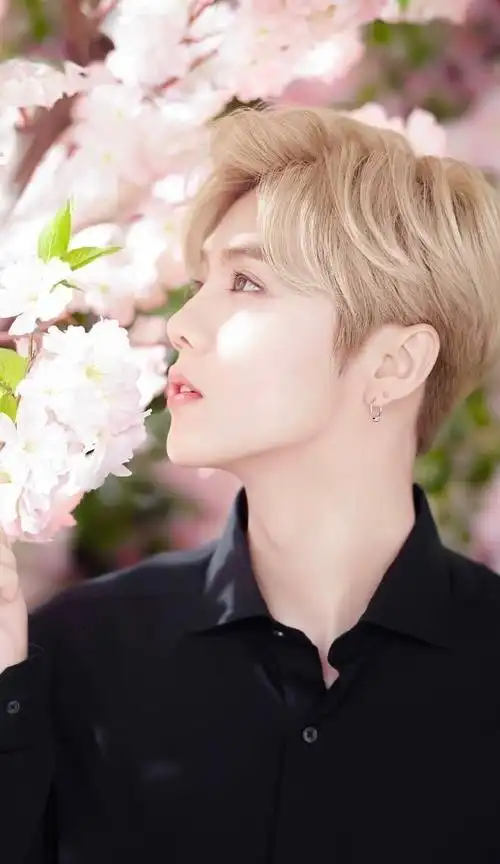 鹿晗花里胡哨的好看