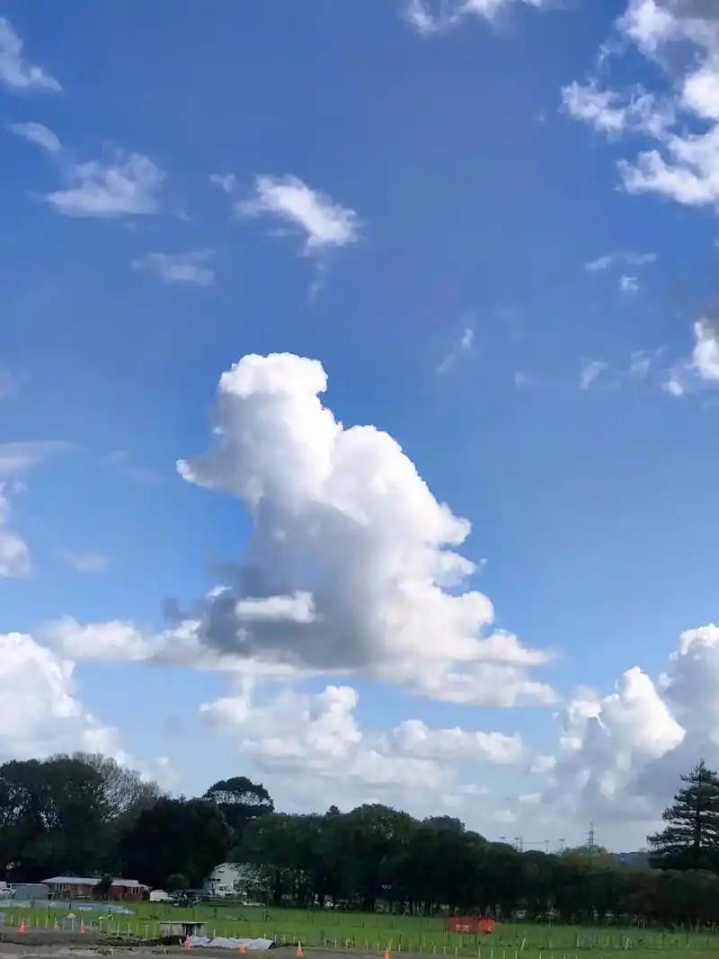 每一朵云都是天空带来的惊喜#云的心事只有风知道 #可爱云朵图 - 抖音