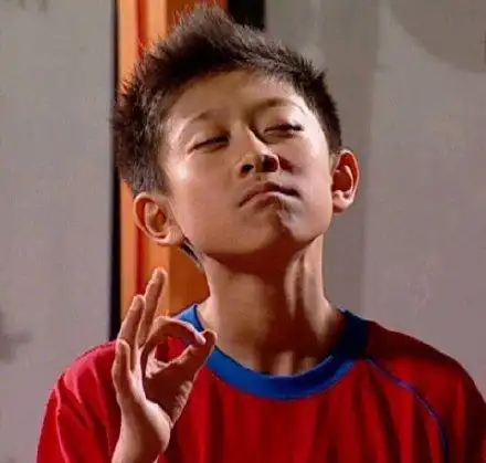 ok(家有儿女刘星表情包)_ok_刘星_家有_儿女表情