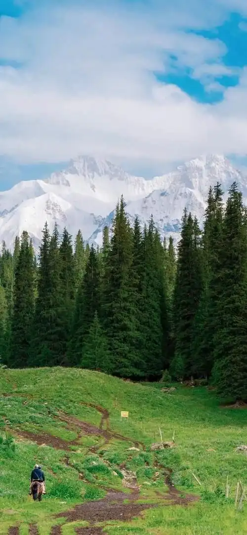 超有仙气的风景摄影壁纸,绿潮翻涌,夏日听风