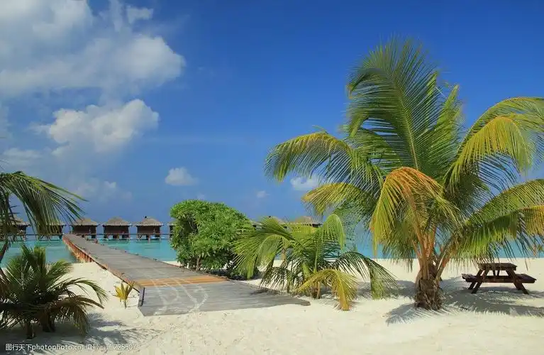 浪漫海边图片图片-图行天下图库