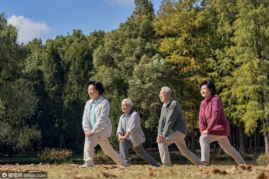 老年人公园里一起运动拉伸亚洲人黄种人