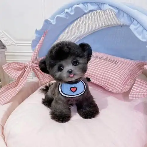 登录查看是否享首单包邮或首单立减成交评价规格三个月颜色灰色40