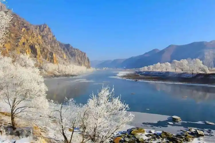 【黑龙江日报】牡丹江林口莲花湖雾凇