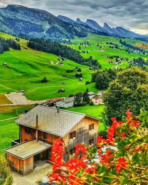 最美的春天风景照治愈了我受伤的心灵