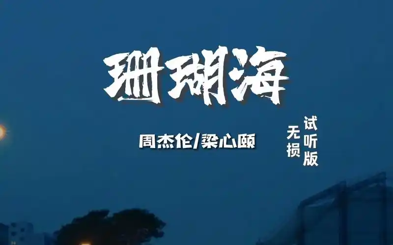 海鸟跟鱼相爱只是一场意外#珊瑚海#周杰伦