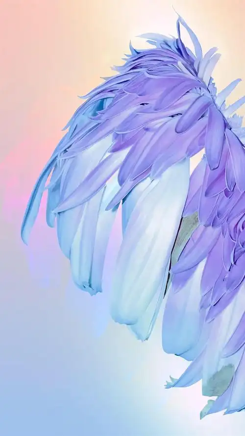 花瓣微距清新手机壁纸,安静唯美的画面,简简单单的颜色,清新淡雅的