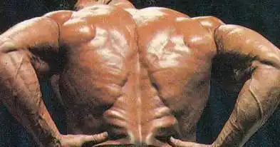 碉堡健身圈的14种健身体型你属于哪一种