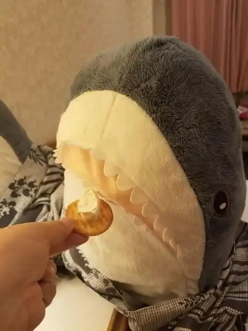 日推网友分享被幸福饲养的鲨鱼宝宝每一张都戳中萌点