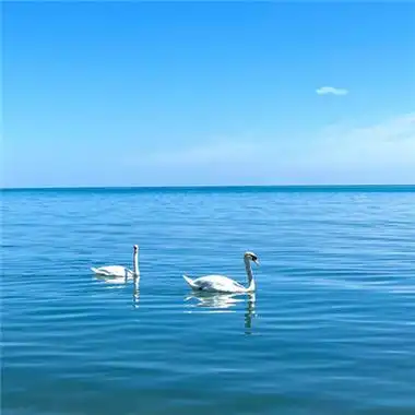 2021最美风景头像高清好看的2021最美微信风景图片