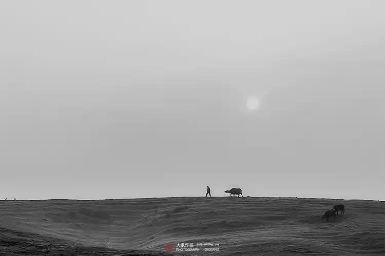 一组简约的黑白图片(原创)大象无形