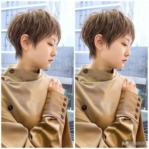 几款好看的短发造型,时髦显脸小(女生脸大剪什么短发好看图片) - 冷求