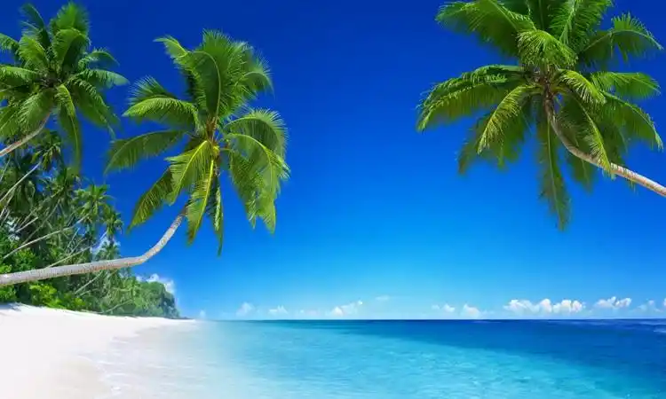 分享几张秀美的风景图片观看,你觉得怎么样?