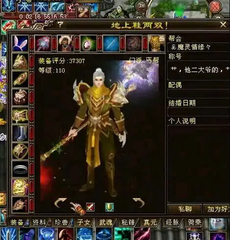 有钱难买我愿意 天龙八部3万评分套装重楼丐帮