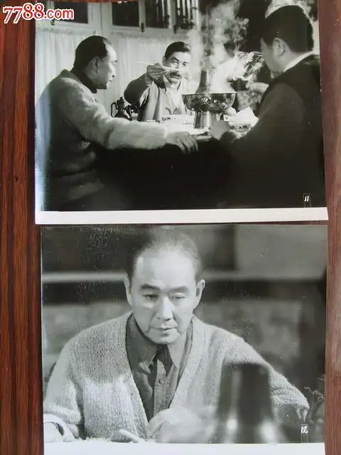 古月,苏林,赵恒多主演的电影《平津战役》上下集剧照16张