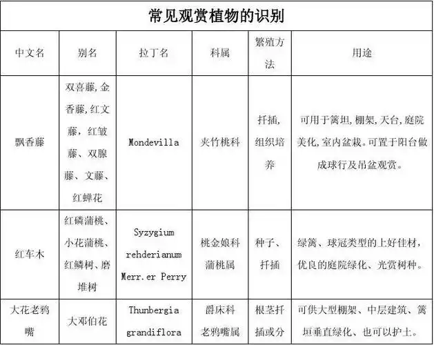 常见观赏植物识别