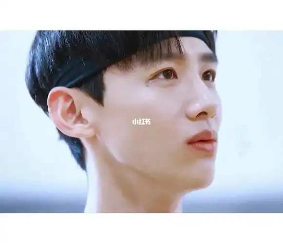 白敬亭我找到了夏至未至资源