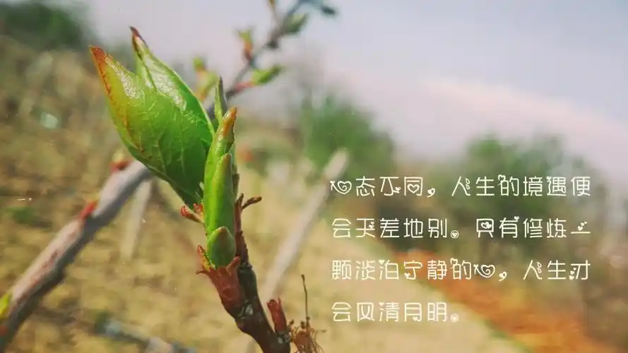 关于美好人生的心情说说治愈句子图片,高清壁纸图片,非主流-回车桌面