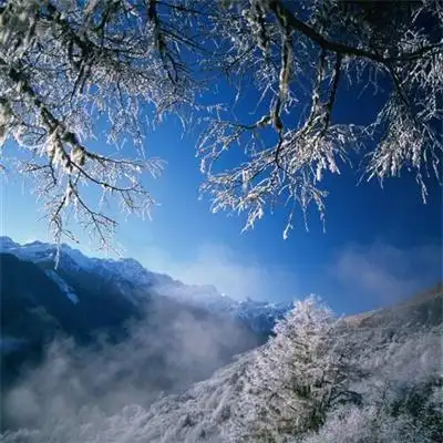 特别好看也很真实的风景头像 绿色森系微信头像比较合适的风景_风景