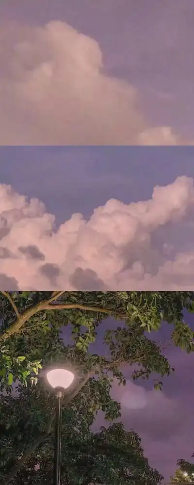 别把那个看到晚霞也拍下来与你分享的人弄丢了多格壁纸侵删.