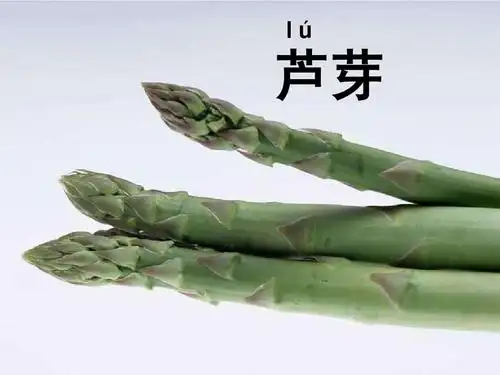 惠崇春江晓景(1)ppt