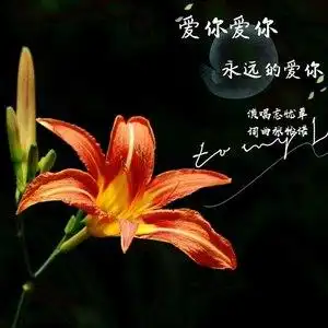 爱你爱你永远的爱你