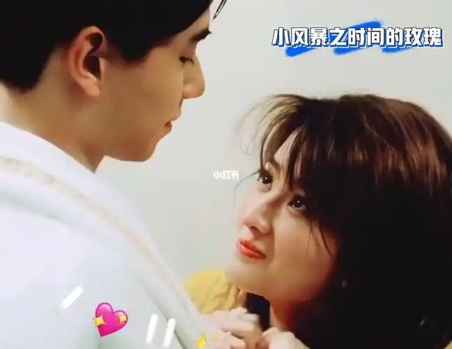 胡一天乔欣小风暴片段4花絮