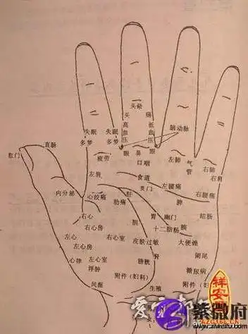 手部痣相图解