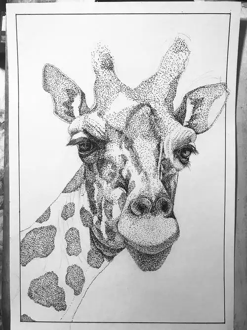 针管笔点绘长颈鹿1f9921f9921f992|纯艺术|绘画|图南tunan - 原创作品