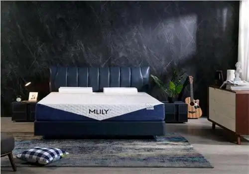 梦百合床垫加盟
