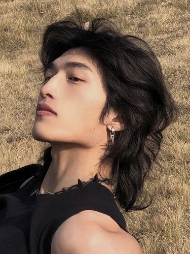 长发假发男狼尾发帅气鲻鱼头微卷中分刘海网红拍照蓬松透气全头套